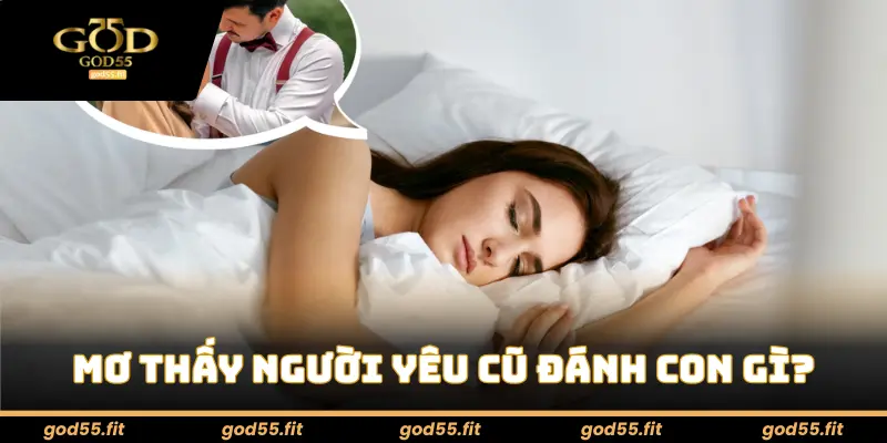 Mơ thấy người yêu cũ đánh con gì?